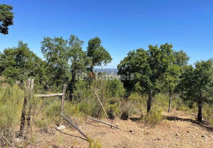 Terra a Gaviao, Portalegre, Gaviao - € 15.000 | Ref: 01359-24 - foto 1