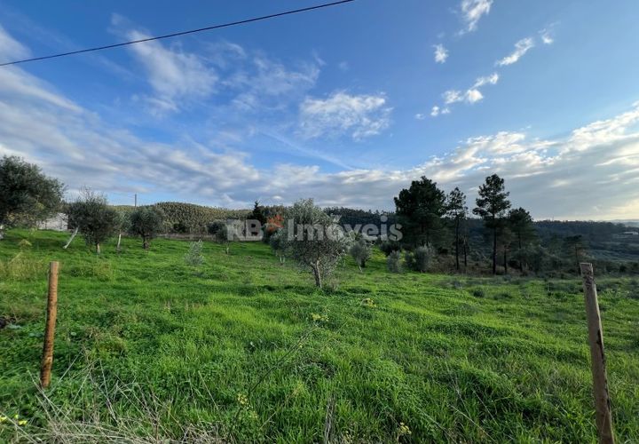 Helårsgrund i Tomar, Santarem, Tomar - € 104.920 | Ref: 01336-24 - foto 1