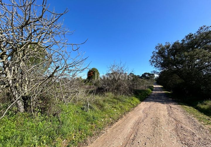 Helårsgrund i Tomar, Santarem, Tomar - € 8.000 | Ref: 01217-24 - foto 1