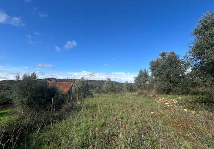 Helårsgrund i Tomar, Santarem, Tomar - € 25.000 | Ref: 01331-24 - foto 1