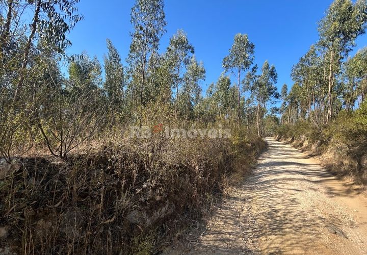 Helårsgrund i Tomar, Santarem, Tomar - € 9.900 | Ref: 01227-24 - foto 1