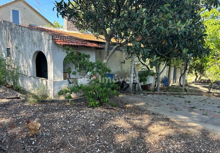 Farm i Tomar, Santarem, Tomar - € 160.000 | Ref: 01274-24 - foto 1
