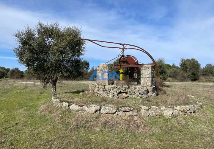 Terra a Ninho do Acor, Castelo Branco, Ninho do Acor - € 69.000 | Ref: 125006 - foto 1