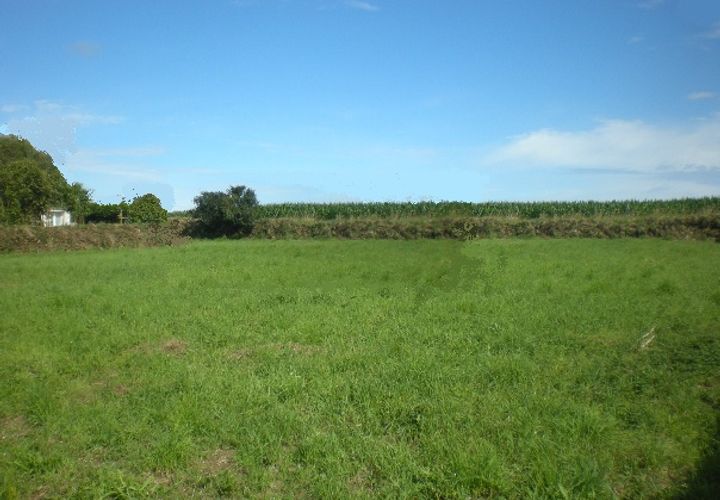 Terra a Allan, Drome, Allan - € 179.900 | Ref: S101 - foto 1
