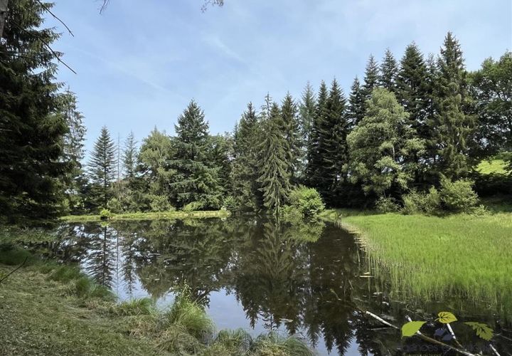 Helårsgrund i Moissannes, Haute-Vienne, Moissannes - € 45.000 | Ref: 3955_S - foto 1