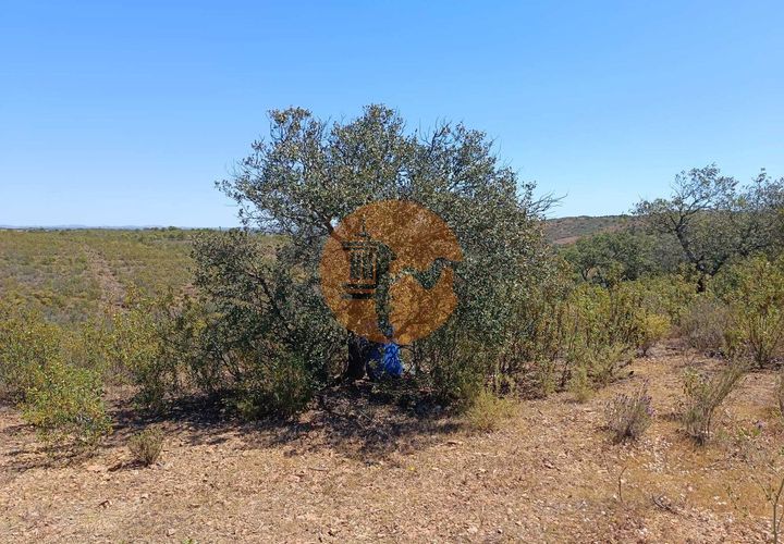 Helårsgrund i Castro Marim, Faro, Castro Marim - € 44.000 | Ref: SU-CS-TR-89639 - foto 1