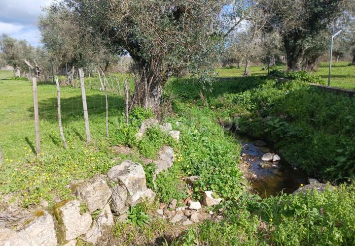 Helårsgrund i Nisa, Portalegre, Nisa - € 15.000 | Ref: 102250033 - foto 1