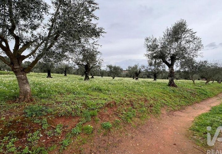 Helårsgrund i Penela, Coimbra, Penela - € 30.000 | Ref: 134198 - foto 1