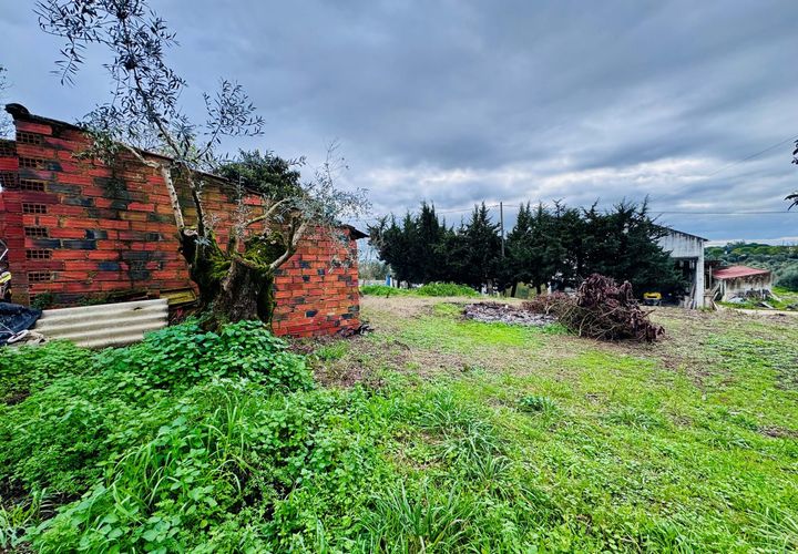 Helårsgrund i Tomar, Santarem, Tomar - € 35.000 | Ref: VCP393 - foto 1