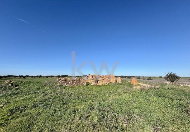 Terra a Castro Verde, Beja, Castro Verde - € 460.000 | Ref: KWPT-009281 - foto 1