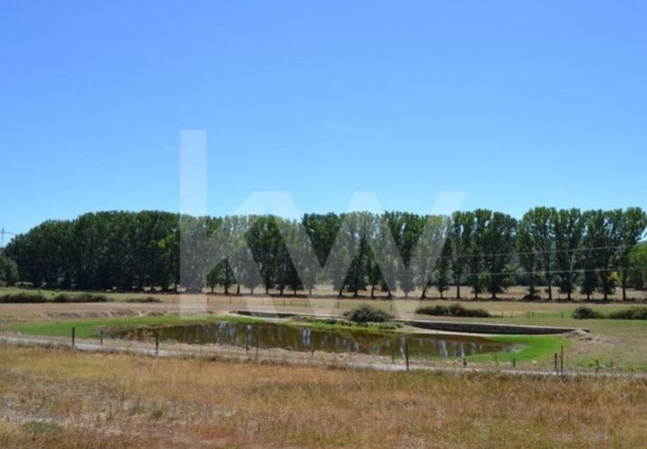 Farm i Boidobra, Castelo Branco, Boidobra - € 1.150.000 | Ref: 1217-3069 - foto 1