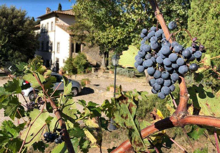 Villa a Cortona, Arezzo, Cortona - € 3.200.000 | Ref: 11226RV91295-460136 - foto 1