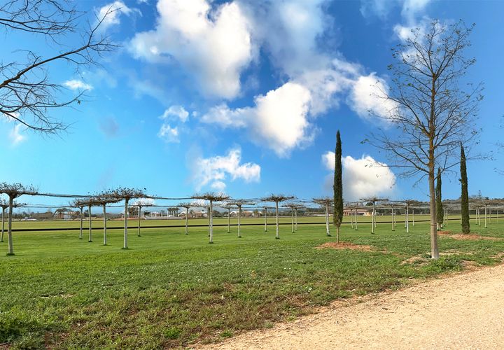 Terra a Campos, Mallorca, Campos - € 420.000 | Ref: ES-5981 - foto 1