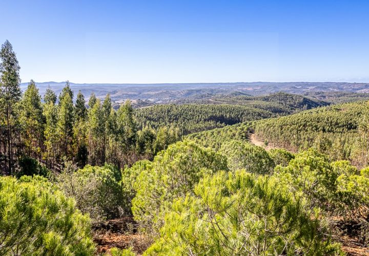 Helårsgrund i Odemira, Beja, Odemira - € 1.200.000 | Ref: 10234 - foto 1