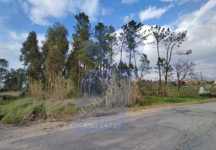 Helårsgrund i Oliveira do Bairro, Aveiro, Oliveira do Bairro - € 50.000 | Ref: TER_1152 - foto 1