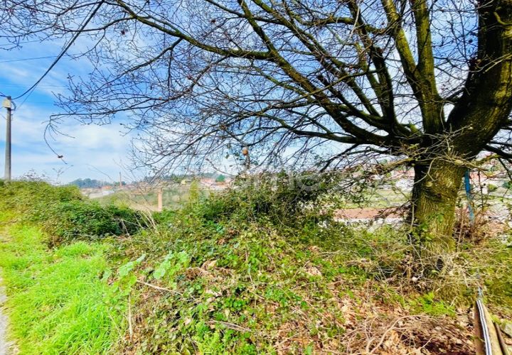 Terra a Aves, Porto, Aves - € 56.500 | Ref: ZMPT574492 - foto 1