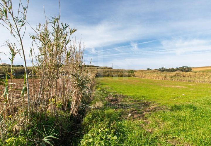 Helårsgrund i Mafra, Lisbon, Mafra - € 100.000 | Ref: V25052 - foto 1