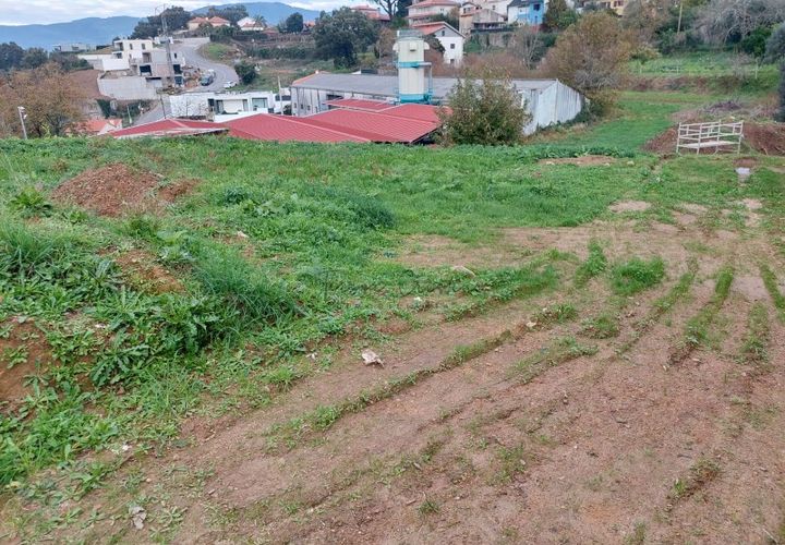 Helårsgrund i Ponte de Lima, Viana do Castelo, Ponte de Lima - € 76.000 | Ref: TC78 - foto 1