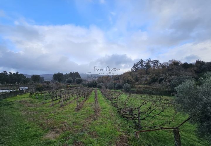 Helårsgrund i Ponte de Lima, Viana do Castelo, Ponte de Lima - € 22.000 | Ref: TC73 - foto 1
