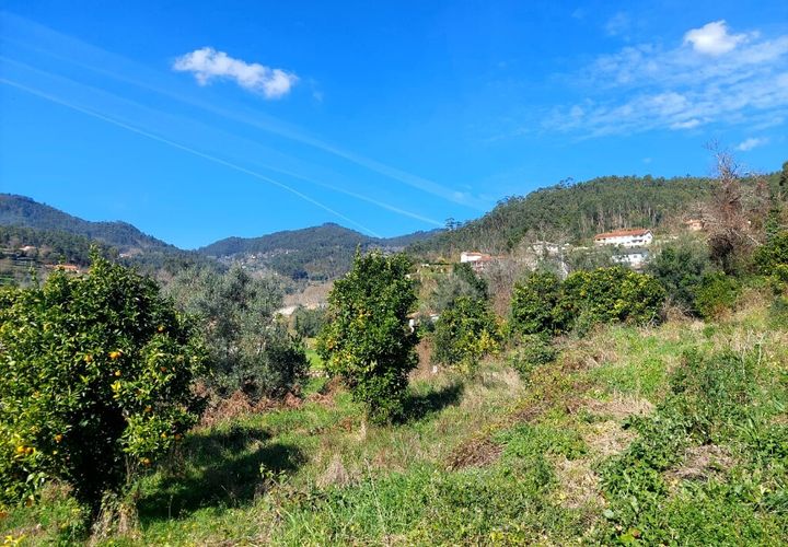 Helårsgrund i Amares, Braga, Amares - € 70.000 | Ref: 211918 - foto 1