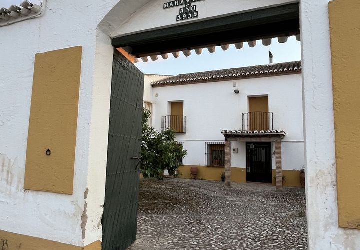 L'establiment comercial a Antequera, Malaga, Antequera - € 430.000 | Ref: R4974160 - foto 1