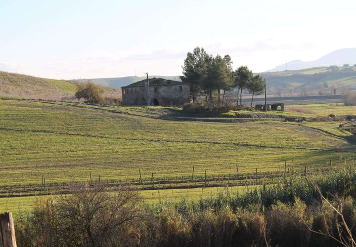 Farm hus i Peccioli, Pisa, Peccioli - € 300.000 | Ref: C-359-464353 - foto 1