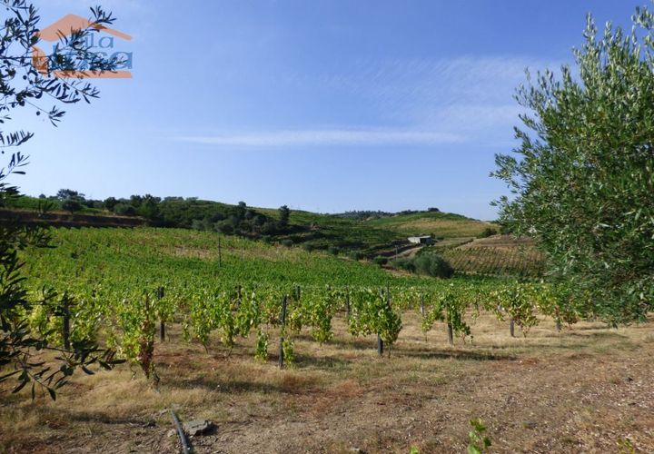 Landejendom i Tabuaco, Viseu, Tabuaco - € 2.500.000 | Ref: 803181005 - foto 1
