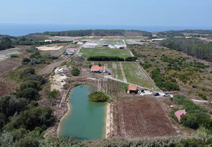 Farm hus i Rogil, Faro, Rogil - € 1.400.000 | Ref: BLZ-123071 - foto 1