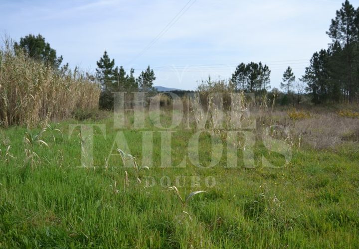Tomt i Anadia, Aveiro, Anadia - € 55 000 | Ref: HT7021 - foto 1