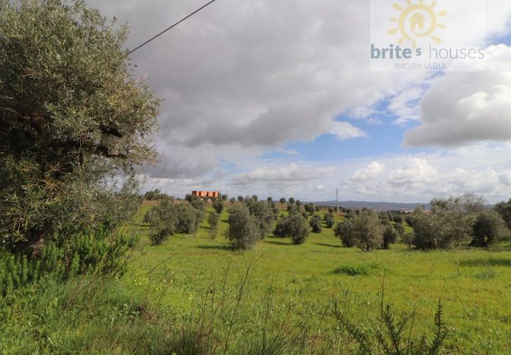 Gård i Tomar, Santarem, Tomar - € 200 000 | Ref: Tr117 - foto 1