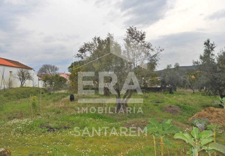 Terra a Chamusca, Santarem, Chamusca - € 30.000 | Ref: 11700 - foto 1