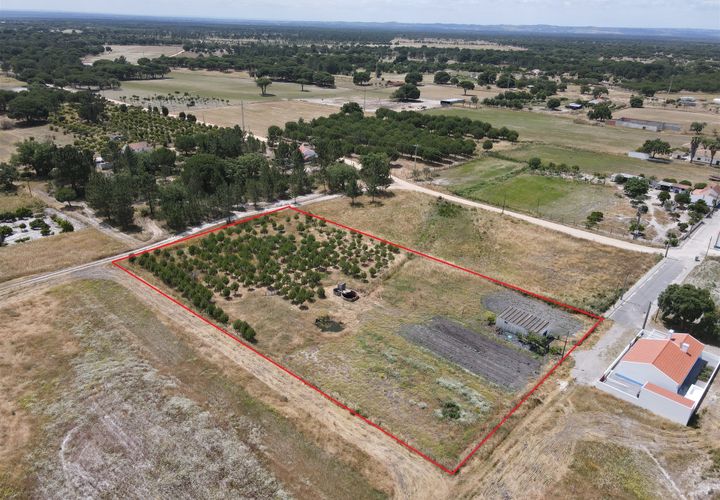 Farm i Alcacer do Sal, Setubal, Alcacer do Sal - € 140.000 | Ref: DHA0112 - foto 1