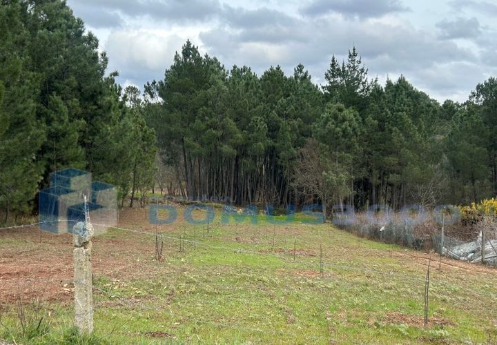 Land in Vila Real, Vila Real, Vila Real - € 150/month | Ref: TER_1385 - photo 1