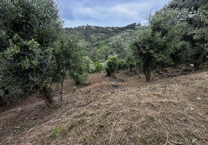 Terreno en Nice, Alpes-Maritimes, Nice - € 399.000 | Ref: 85585732 - photo 1