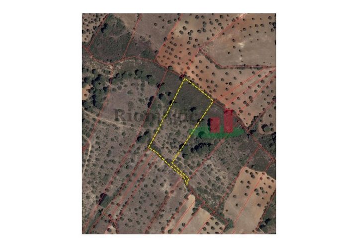 Terra a Minde, Santarem, Minde - € 8.000 | Ref: 430C.24 - foto 1