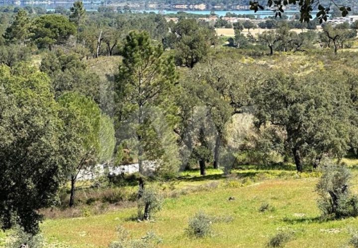 Terra a Montargil, Portalegre, Montargil - € 98.000 | Ref: 1204-3708 - foto 1