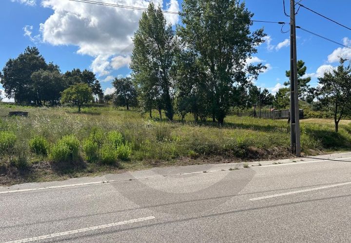 Terra a Alburitel, Santarem, Alburitel - € 45.000 | Ref: C0269-01815 - foto 1