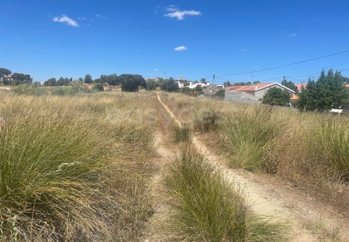 Terreno en Avis, Portalegre, Avis - € 65.000 | Ref: ST96856AC - photo 1