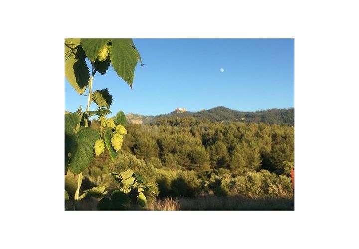 Farm i Sintra, Lisbon, Sintra - € 320.000 | Ref: MAS_2202 - foto 1