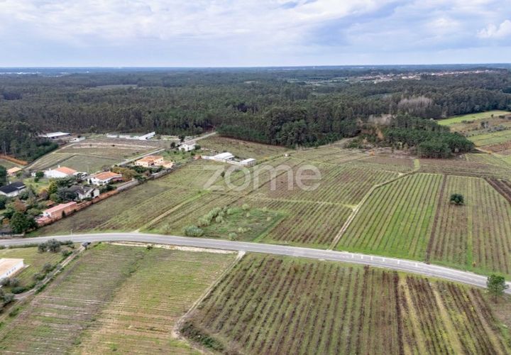 Terra a Ourenta, Coimbra, Ourenta - € 68.000 | Ref: ZMPT574574 - foto 1