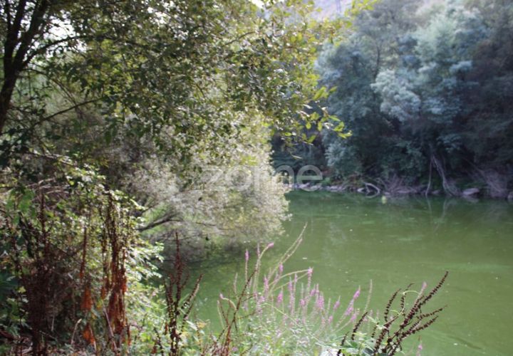 Helårsgrund i Viseu, Viseu, Viseu - € 26.500 | Ref: ZMPT572869 - foto 1