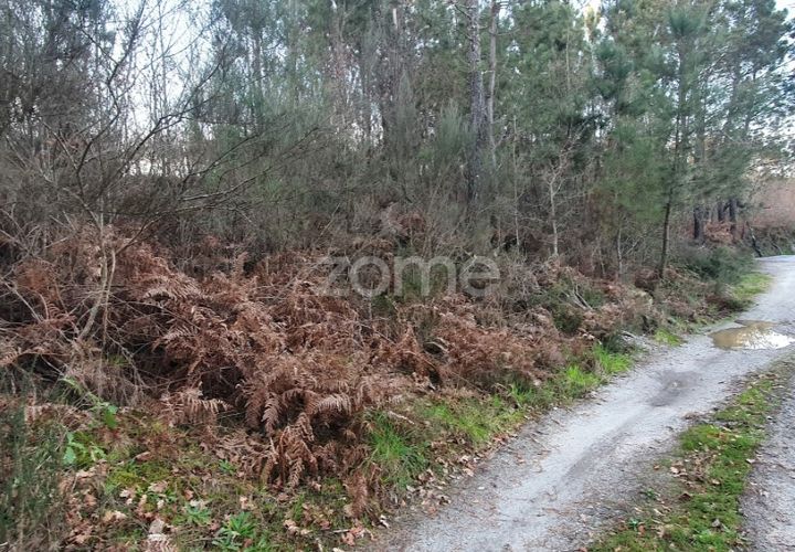 Grond in Calde, Viseu, Calde - € 32.000 | Ref: ZMPT566727 - foto 1