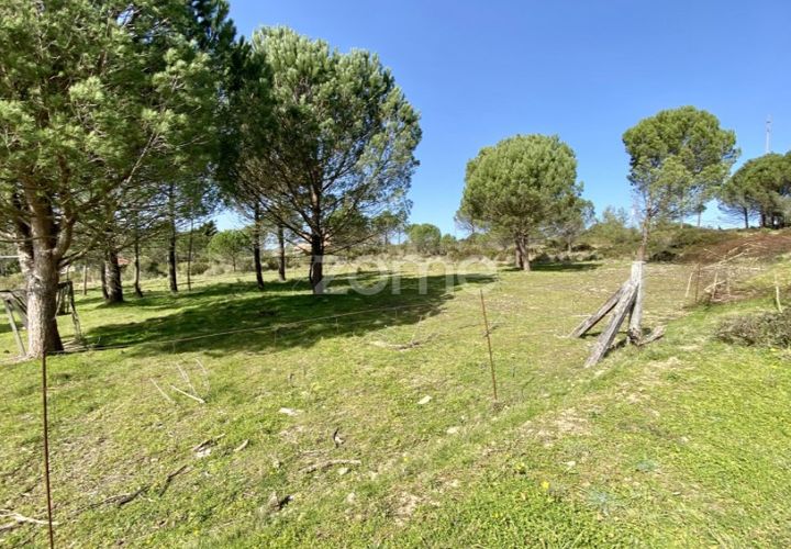 Helårsgrund i Vila Verde, Coimbra, Vila Verde - € 425.000 | Ref: ZMPT555426 - foto 1