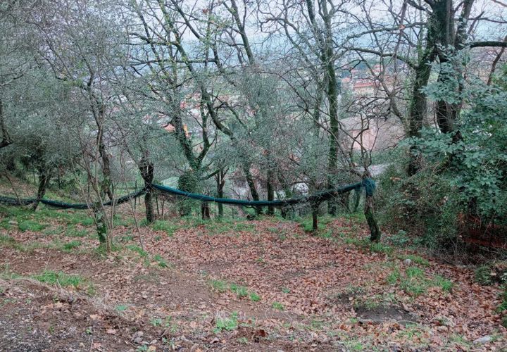 Helårsgrund i Ameglia, La Spezia, Ameglia - € 100.000 | Ref: 1173-1 - foto 1