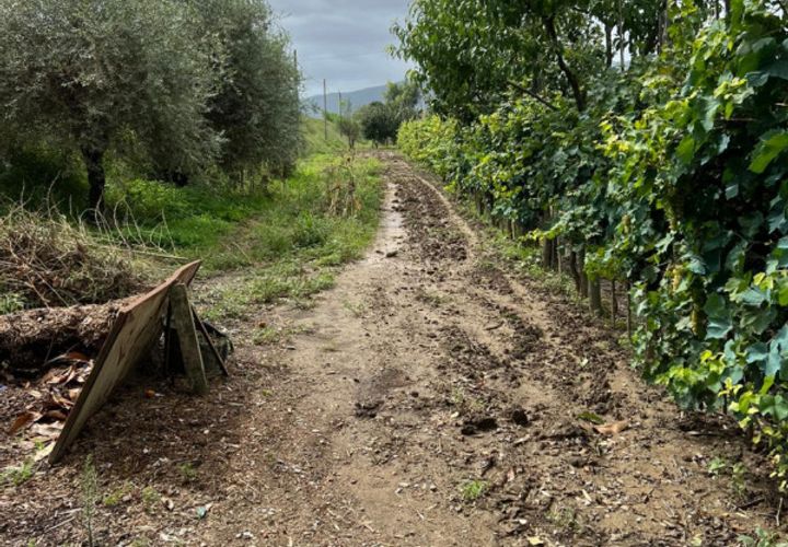 Grond in Prato, Prato, Prato - € 58.000 | Ref: DC48 - TERRENO - foto 1