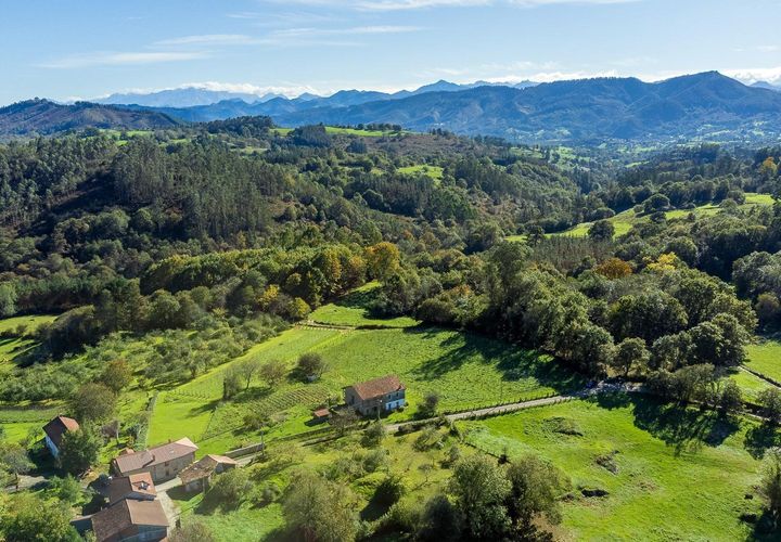 Helårsgrund i Nava, Asturias, Nava - € 104.000 | Ref: EXP09331/8930 - foto 1