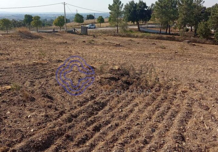 Helårsgrund i Tomar, Santarem, Tomar - € 125.000 | Ref: 196571 - foto 1