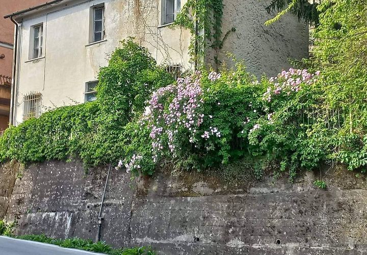Villa i Pietrasanta, Lucca, Pietrasanta - € 150.000 | Ref: 1817 - foto 1