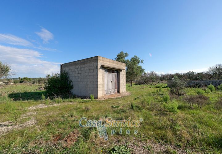 Terra a Matino, Lecce, Matino - € 70.000 | Ref: MATIL-STALLONE-70 - foto 1