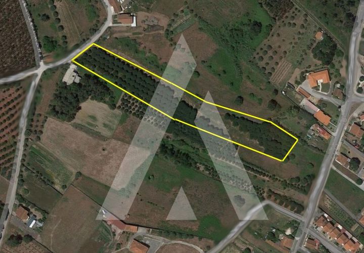 Helårsgrund i Batalha, Leiria, Batalha - € 173.000 | Ref: 1300115/23NL - foto 1